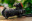 11mm f/4 Blackstone Full Frame Lens for Canon EOS-1D X Mark III